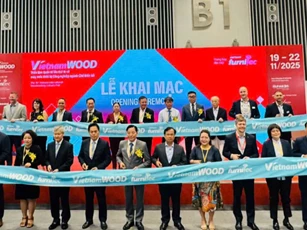 Kết nối mở rộng ngành hế biến gỗ Việt Nam với quốc tế