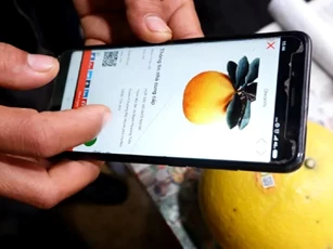 Rào cản khiến doanh nghiệp nhỏ khó áp dụng công nghệ truy xuất nguồn gốc