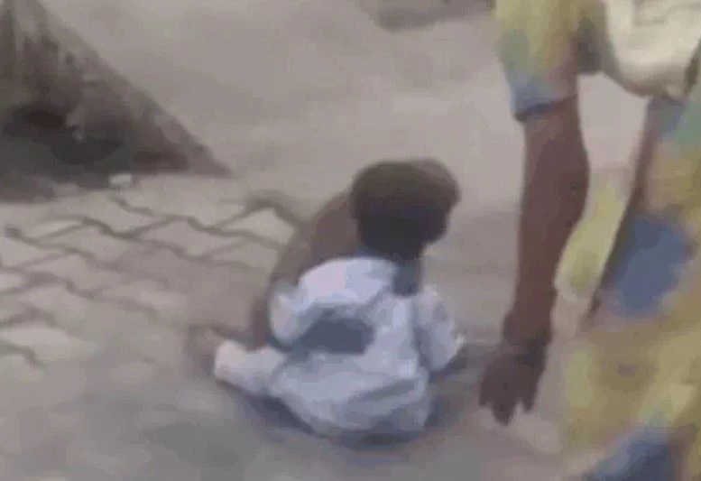 Ảnh cắt từ clip.