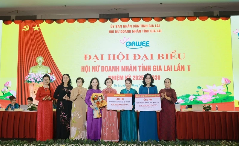 Ban Xã hội - Cộng đồng Hiệp hội Nữ doanh nhân Việt Nam và các nhà hảo tâm ủng hộ kinh phí hỗ trợ người dân Gia Lai khắc phục thiệt hại nặng nề do bão, lũ gây ra.