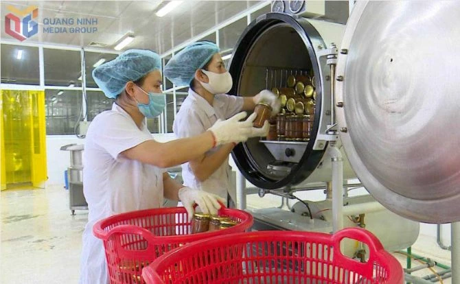 Công ty TNHH Sản xuất và Thương mại Thủy sản Quảng Ninh ứng dụng khoa học công nghệ vào hoạt động sản xuất. Công ty TNHH Sản xuất và Thương mại Thủy sản Quảng Ninh ứng dụng khoa học công nghệ vào hoạt động sản xuất.