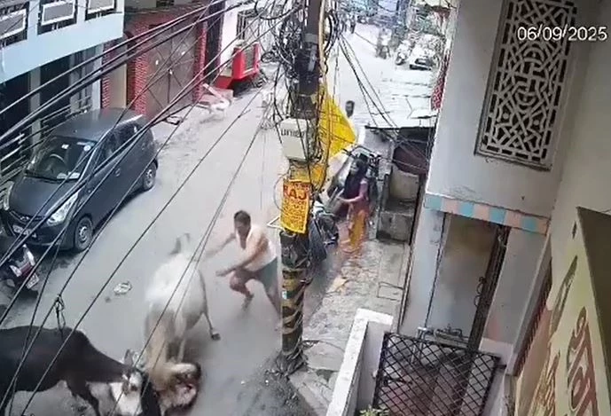 Ảnh cắt từ clip.