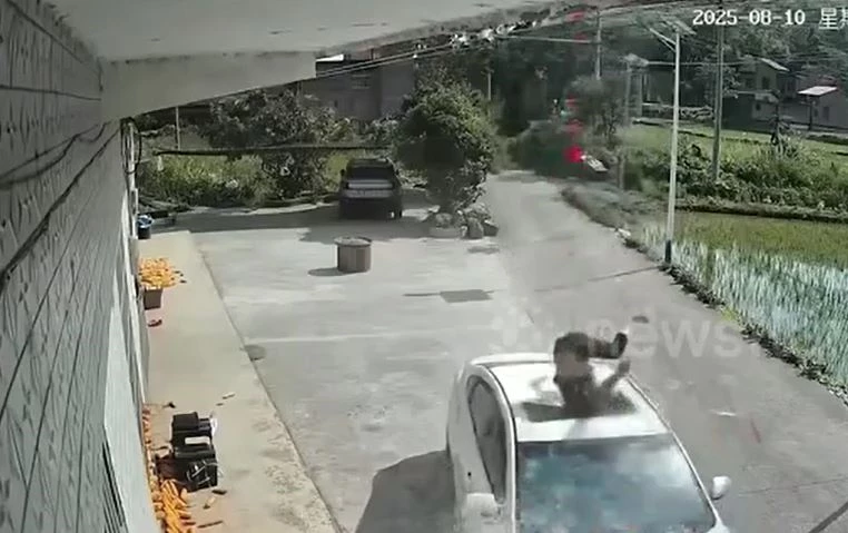 Ảnh cắt từ clip.