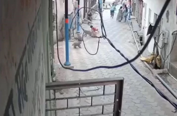 Ảnh cắt từ clip.