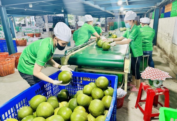 Nguy c&#x1A1; k&#x1EB9;t l&#x1EA1;i &#x111;&#xE1;y chu&#x1ED7;i gi&#xE1; tr&#x1ECB; n&#x1EBF;u doanh nghi&#x1EC7;p kh&#xF4;ng ch&#x1ECB;u thay &#x111;&#x1ED5;i