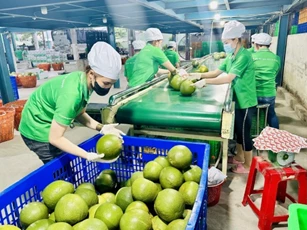 Nguy cơ kẹt lại đáy chuỗi giá trị nếu doanh nghiệp không chịu thay đổi