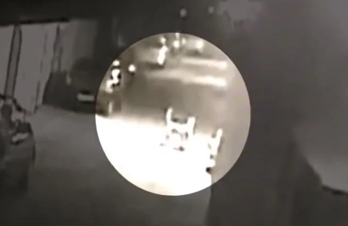 Ảnh cắt từ clip.