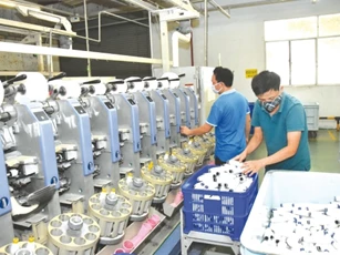 Phát triển lực lượng doanh nghiệp tiên phong vươn ra toàn cầu