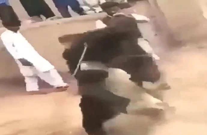 Ảnh cắt từ clip.