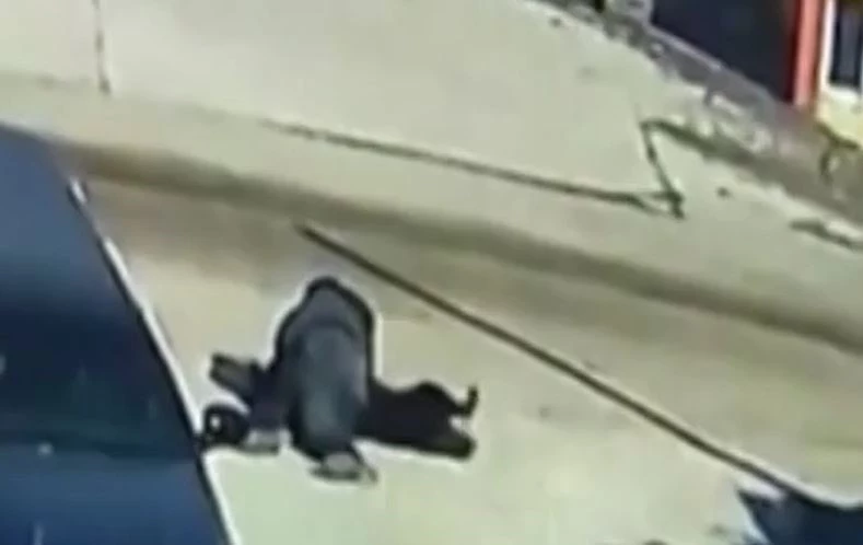 Ảnh cắt từ clip.