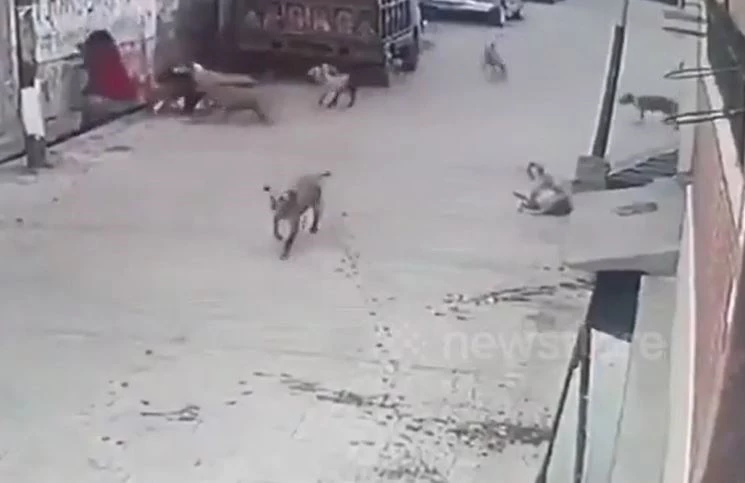 Ảnh cắt từ clip.