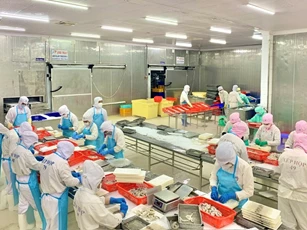 Ngành thuế Cà Mau “về đích” sớm, nhiều chỉ tiêu vượt kế hoạch