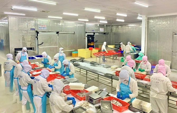 Chế biến tôm xuất khẩu (ảnh minh hoạ tin- Cà Mau nhiều chi tiêu kinh tế đạt và vượt kế hoạch đề ra ) tin anh đã email cho em.