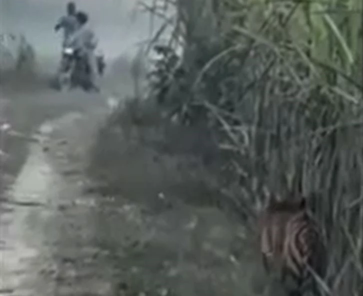 Ảnh cắt từ clip.