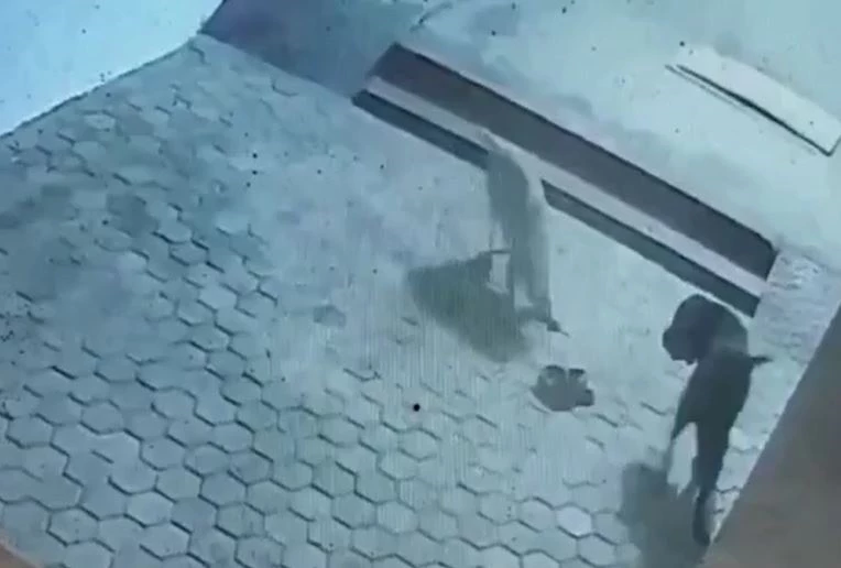 Ảnh cắt từ clip.