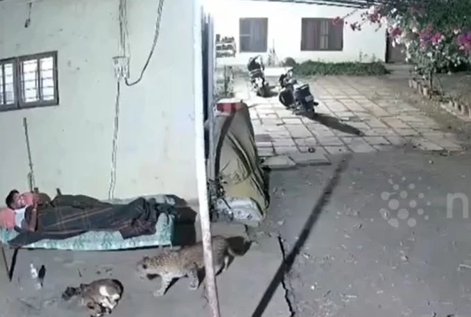 Ảnh cắt từ clip.