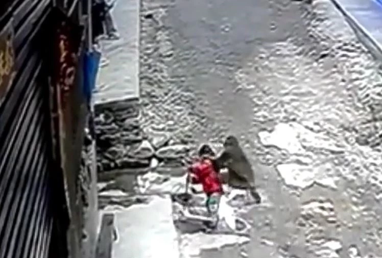 Ảnh cắt từ clip.