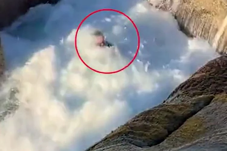 Ảnh cắt từ clip.