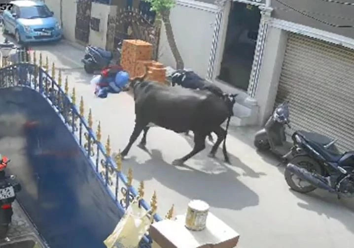 Ảnh cắt từ clip.