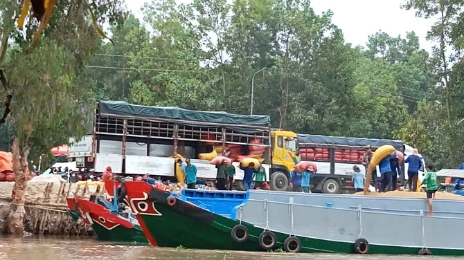 Việc bến bãi tự phát của Hợp tác xã Thủy Mộc ngang nhiên khai thác và hoạt động gây ra thất thoát, cũng như tạo ra sự cạnh tranh không lành mạnh và hoạt động bến thủy nội địa trái quy định pháp luật dẫn đến hậu quả nghiêm trọng Việc bến bãi tự phát của Hợp tác xã Thủy Mộc ngang nhiên khai thác và hoạt động gây ra thất thoát, cũng như tạo ra sự cạnh tranh không lành mạnh và hoạt động bến thủy nội địa trái quy định pháp luật dẫn đến hậu quả nghiêm trọng