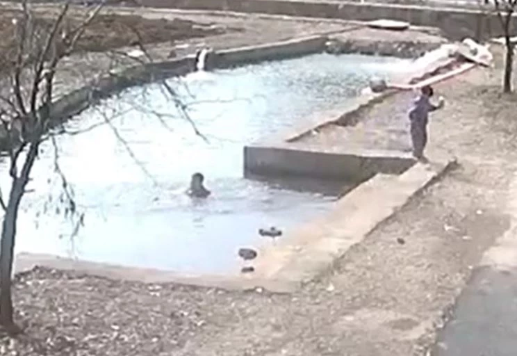 Ảnh cắt từ clip.