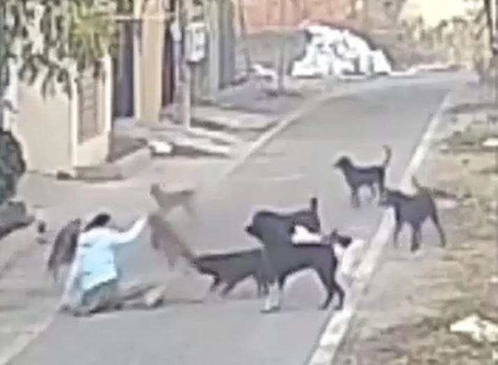 Ảnh cắt từ clip.