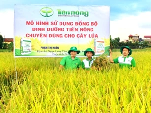 Tiến Nông: Ba thập kỷ kiến tạo giá trị xanh cho nông nghiệp