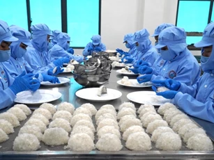 Yến sào Khánh Hòa: Từ 'báu vật biển trời' đến thương hiệu quốc gia