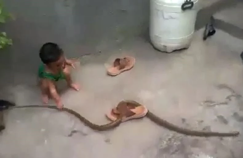 Ảnh cắt từ clip.