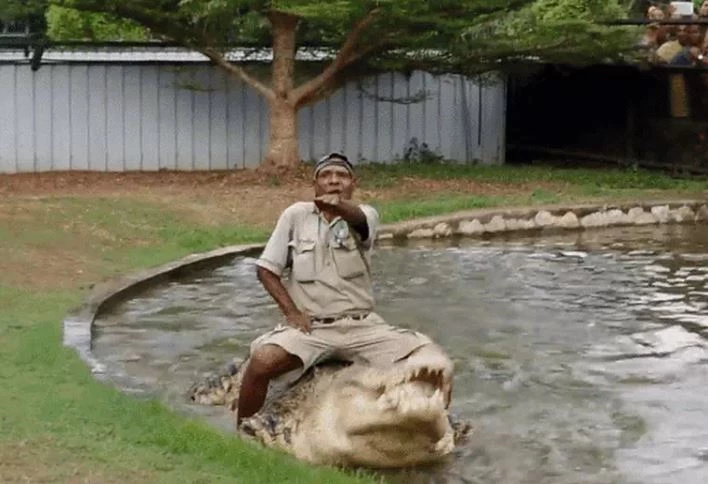 Ảnh cắt từ clip.