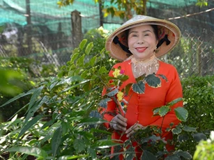 Hơn một thập kỷ xây dựng thương hiệu chăm sóc sức khỏe từ thảo mộc Việt