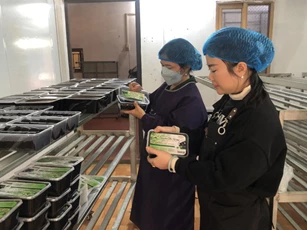 Cao Bằng: Xã Đông Khê hỗ trợ phụ nữ vay gần 28 tỷ đồng phát triển kinh tế