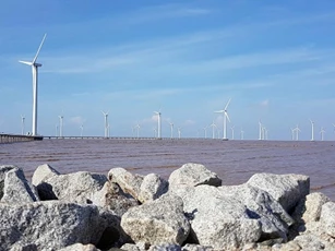 Tận dụng sức gió, Cà Mau trở thành ‘thủ phủ dòng điện xanh’