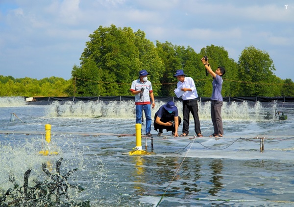 Startup Vi&#x1EC7;t b&#x1EE9;t ph&#xE1; v&#x1EDB;i h&#x1EC7; sinh th&#xE1;i s&#x1ED1; h&#xF3;a ng&#xE0;nh th&#x1EE7;y s&#x1EA3;n