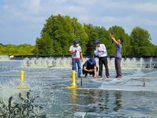 Startup Việt bứt phá với hệ sinh thái số hóa ngành thủy sản