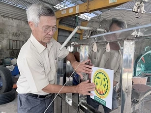 Giải pháp sau thu hoạch và gia tăng giá trị từ hạt mắc ca Việt