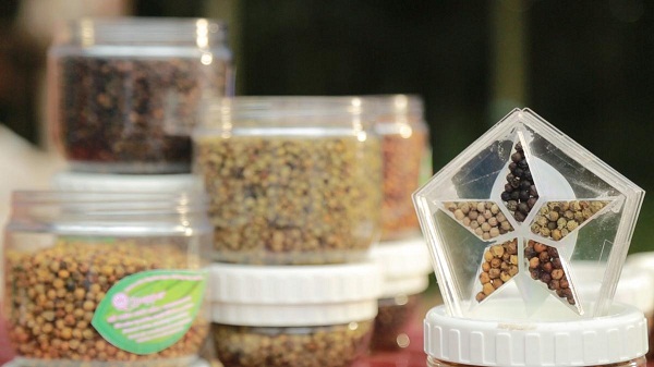 Gi&#x1EEF; tr&#x1ECD;n tinh hoa h&#x1ED3; ti&#xEA;u Vi&#x1EC7;t b&#x1EB1;ng k&#x1EF9; thu&#x1EAD;t s&#x1EA5;y Ng&#x169; S&#x1EAF;c