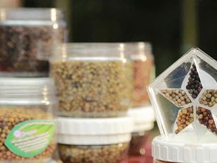 Giữ trọn tinh hoa hồ tiêu Việt bằng kỹ thuật sấy Ngũ Sắc