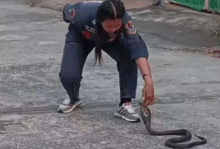 Ảnh cắt từ clip.