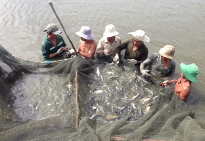 &#x1EE8;ng d&#x1EE5;ng c&#xF4;ng ngh&#x1EC7;, khai th&#xE1;c b&#x1EC1;n v&#x1EEF;ng ti&#x1EC1;m n&#x103;ng sinh th&#xE1;i &#x111;&#x1ECB;a ph&#x1B0;&#x1A1;ng