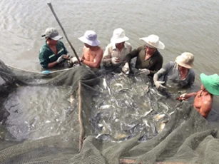 Ứng dụng công nghệ, khai thác bền vững tiềm năng sinh thái địa phương