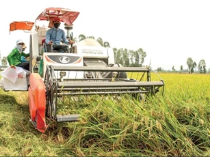 Máy nông nghiệp gọn nhẹ cho sản xuất bền vững