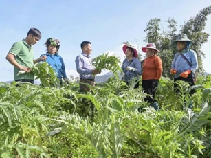 TraphacoSapa: Giữ hồn bản địa, chinh phục thị trường quốc tế bằng công nghệ