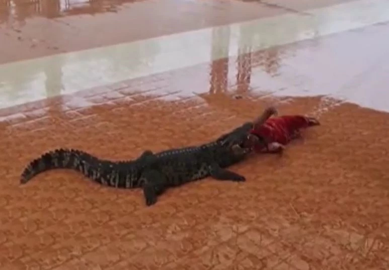 Ảnh cắt từ clip.