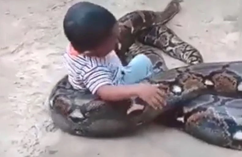 Ảnh cắt từ clip.