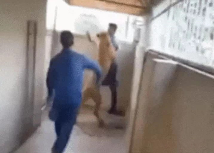 Ảnh cắt từ clip.