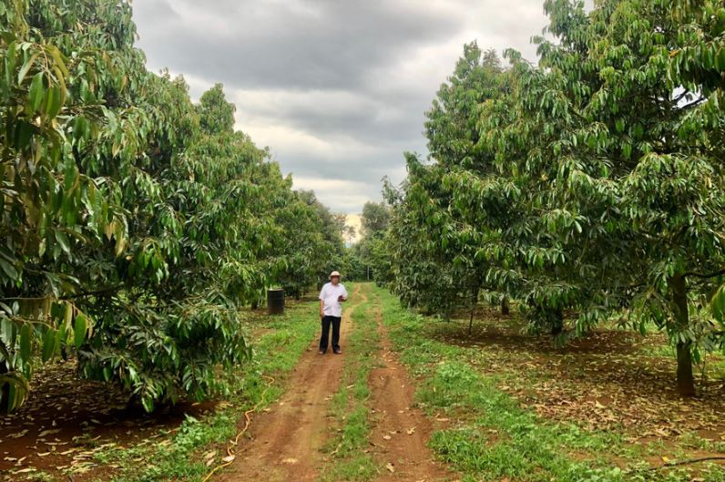 Gia Lai nâng chuẩn sản xuất, đưa nông sản ra thị trường quốc tế