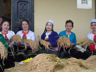 Phú Thọ: Phụ nữ xã Thượng Cốc lan tỏa những mô hình kinh tế hiệu quả, giảm nghèo bền vững