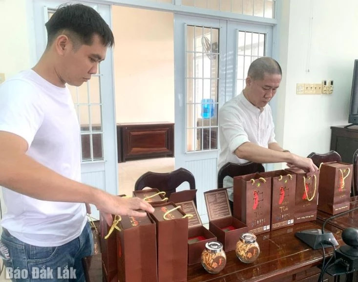 Thành viên dự án giới thiệu sản phẩm đông trùng sấy thăng hoa. Ảnh: Báo Đắk Lắk.