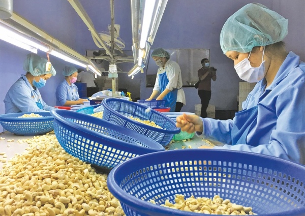 Vượt 'hàng rào xanh' để xuất khẩu tăng trưởng bền vững